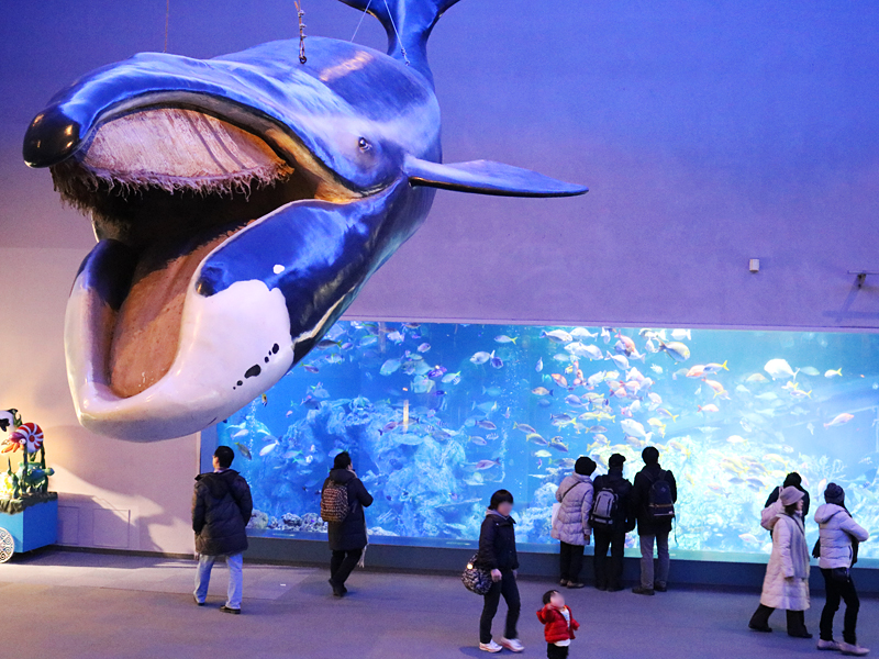 鳥羽水族館