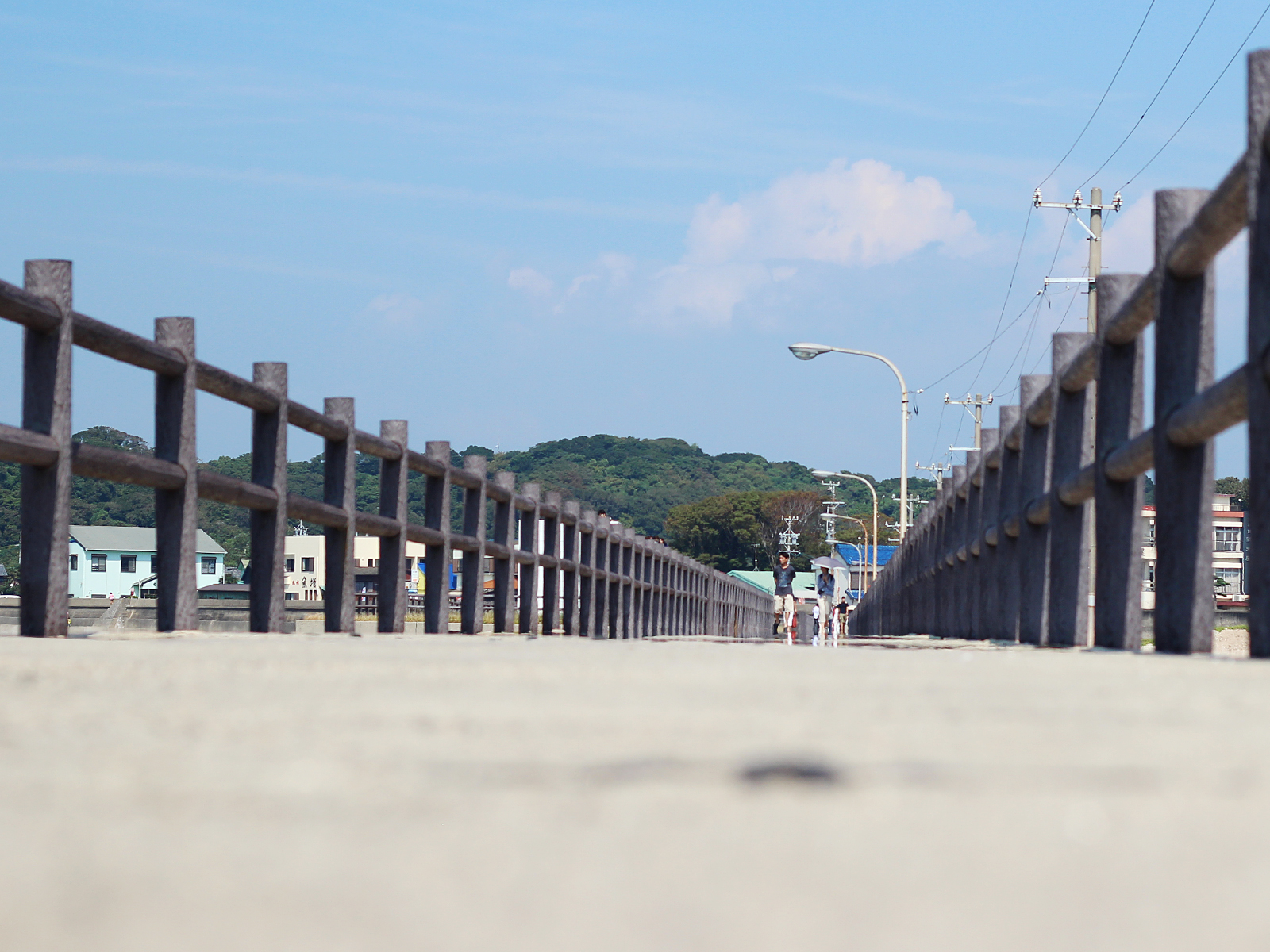 釣り場への道