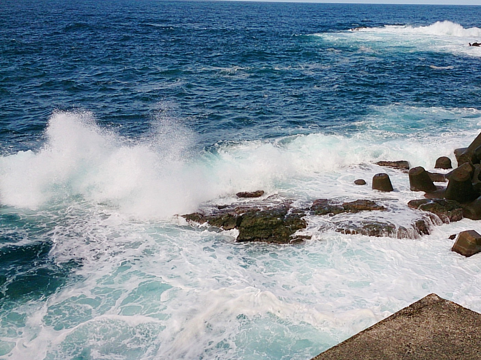 海面までの高さ5m